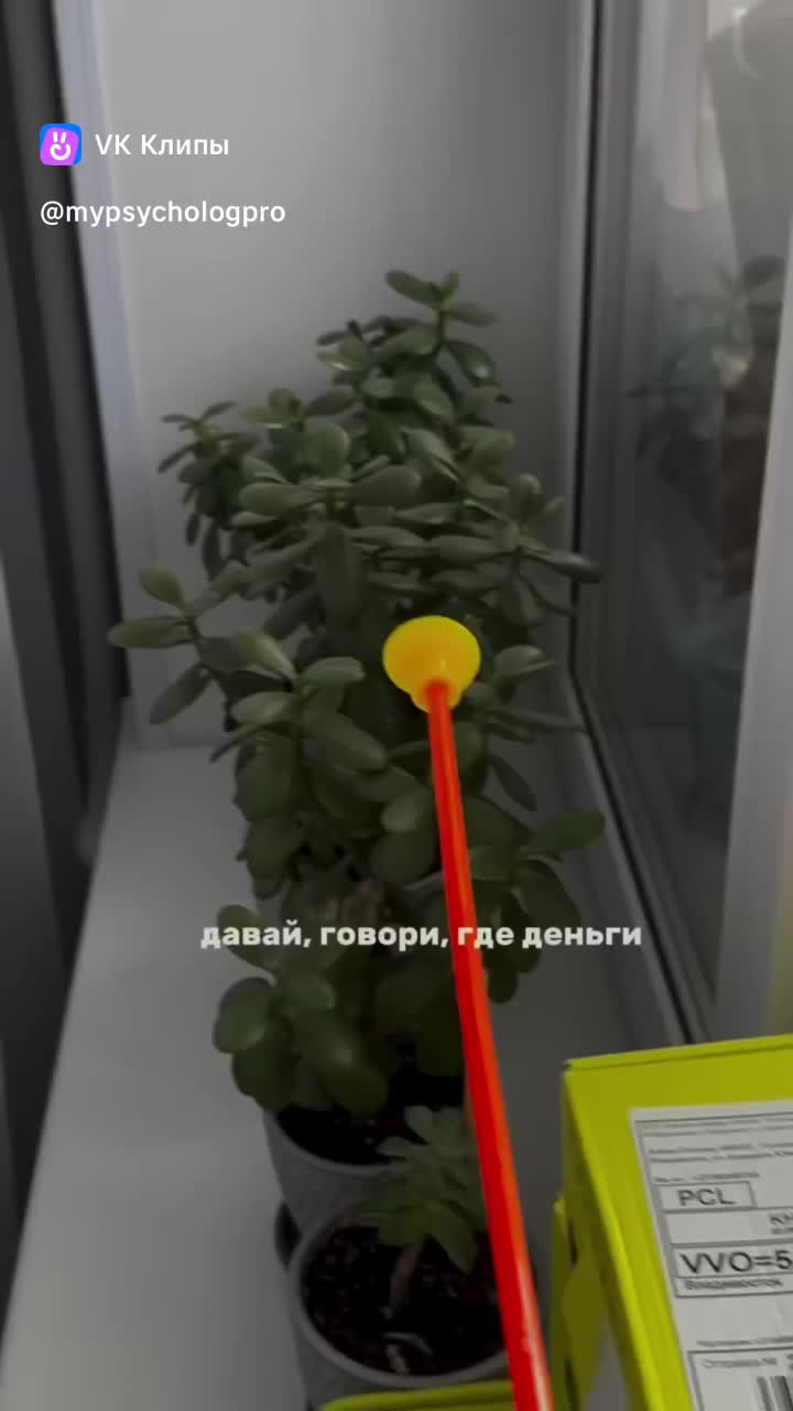 @Elaela8505🇷🇺