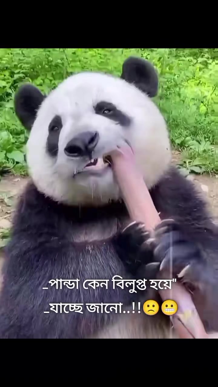 @Sahera Khatun