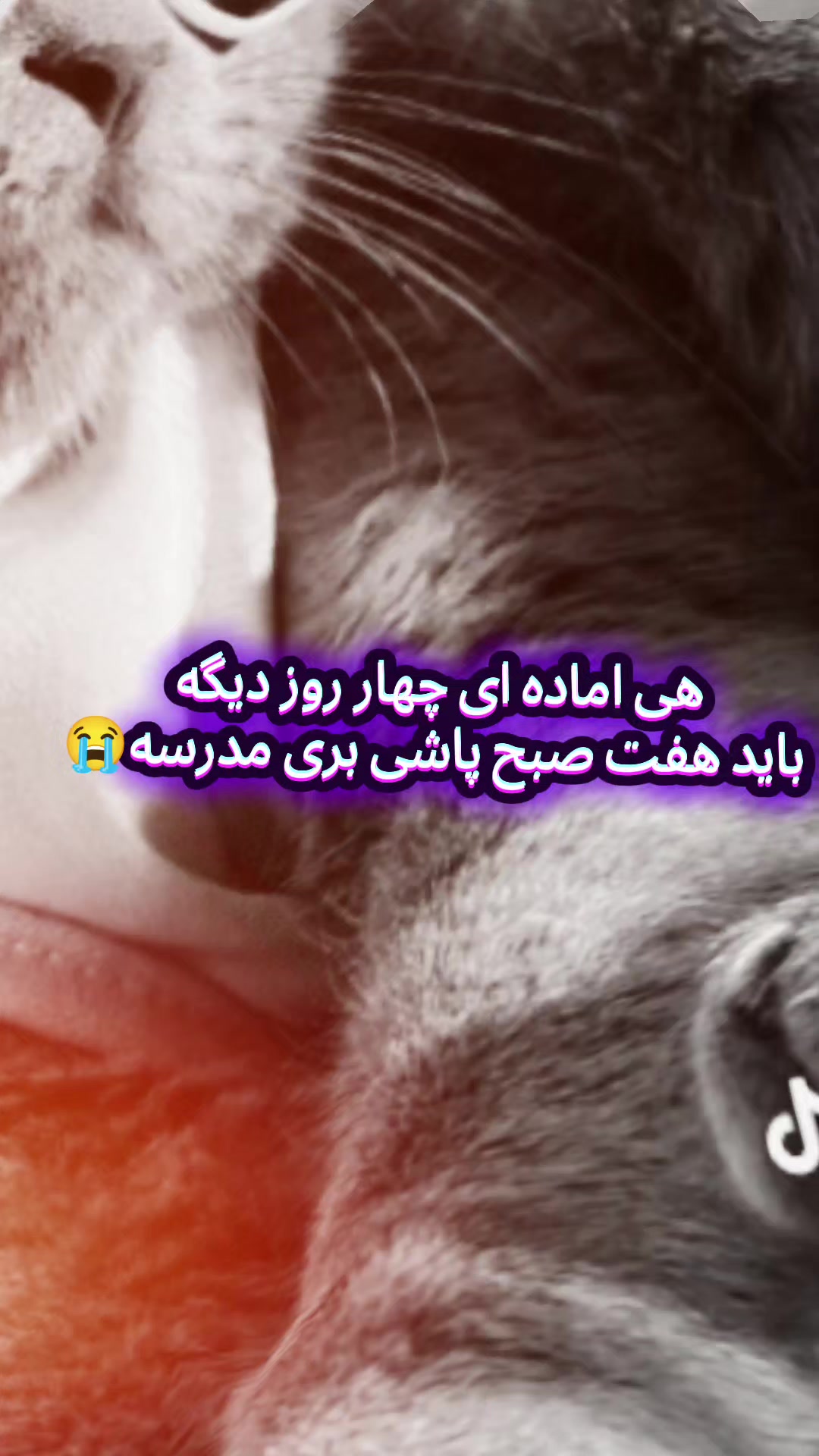 @TikTok_ iran_BLAGR🇮🇷