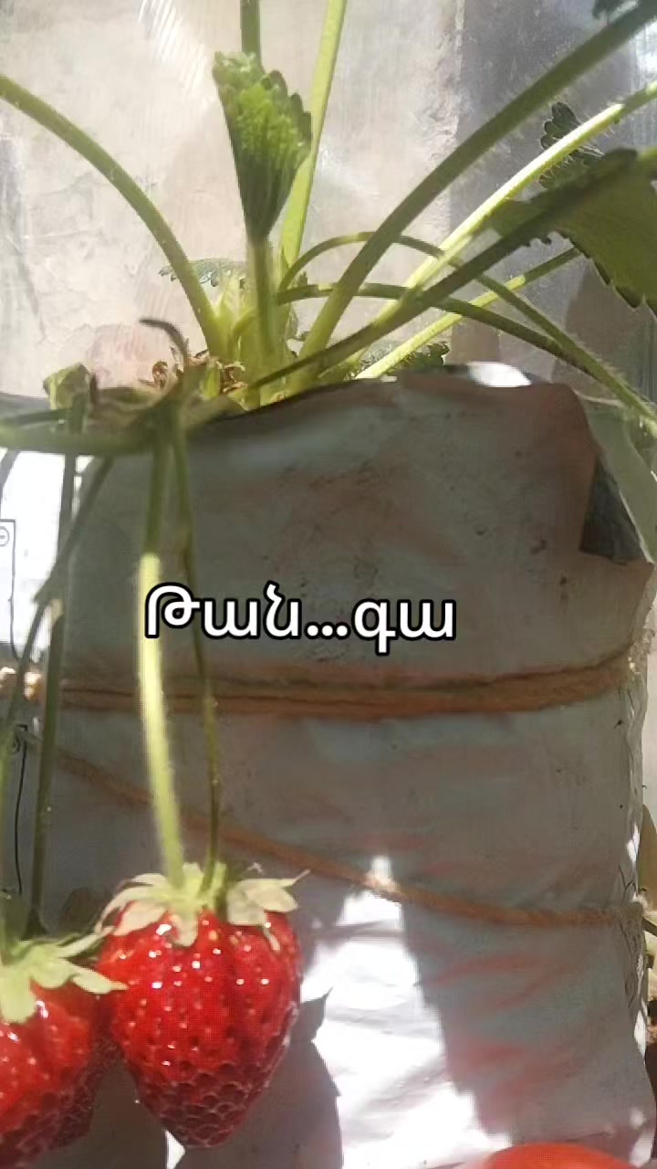 @Артур