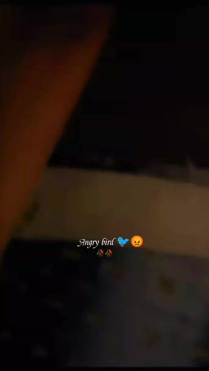 @💫𝖆𝖓𝖌𝖗𝖞 𝖇𝖎𝖗𝖉𝖘💫💥