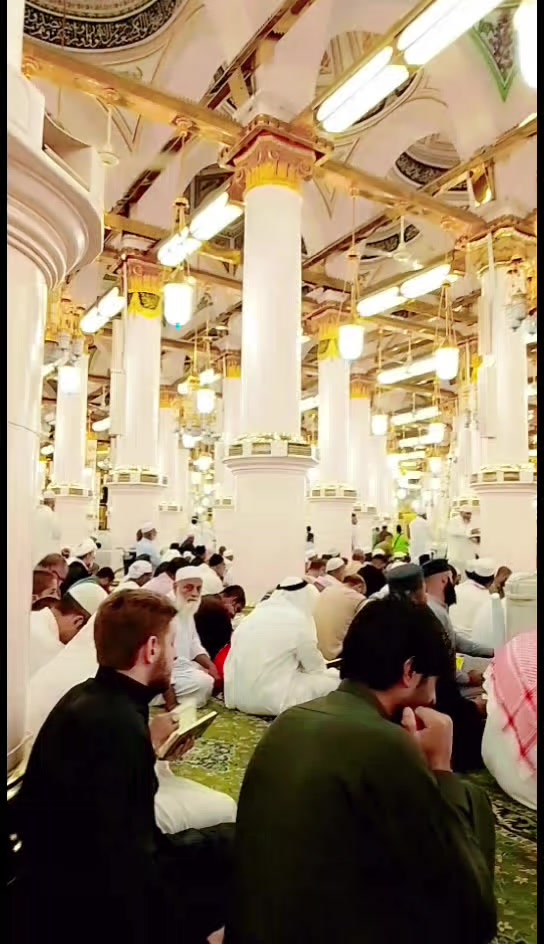 @ziddi Raجpoot🇸🇦🇵🇰🇸🇦