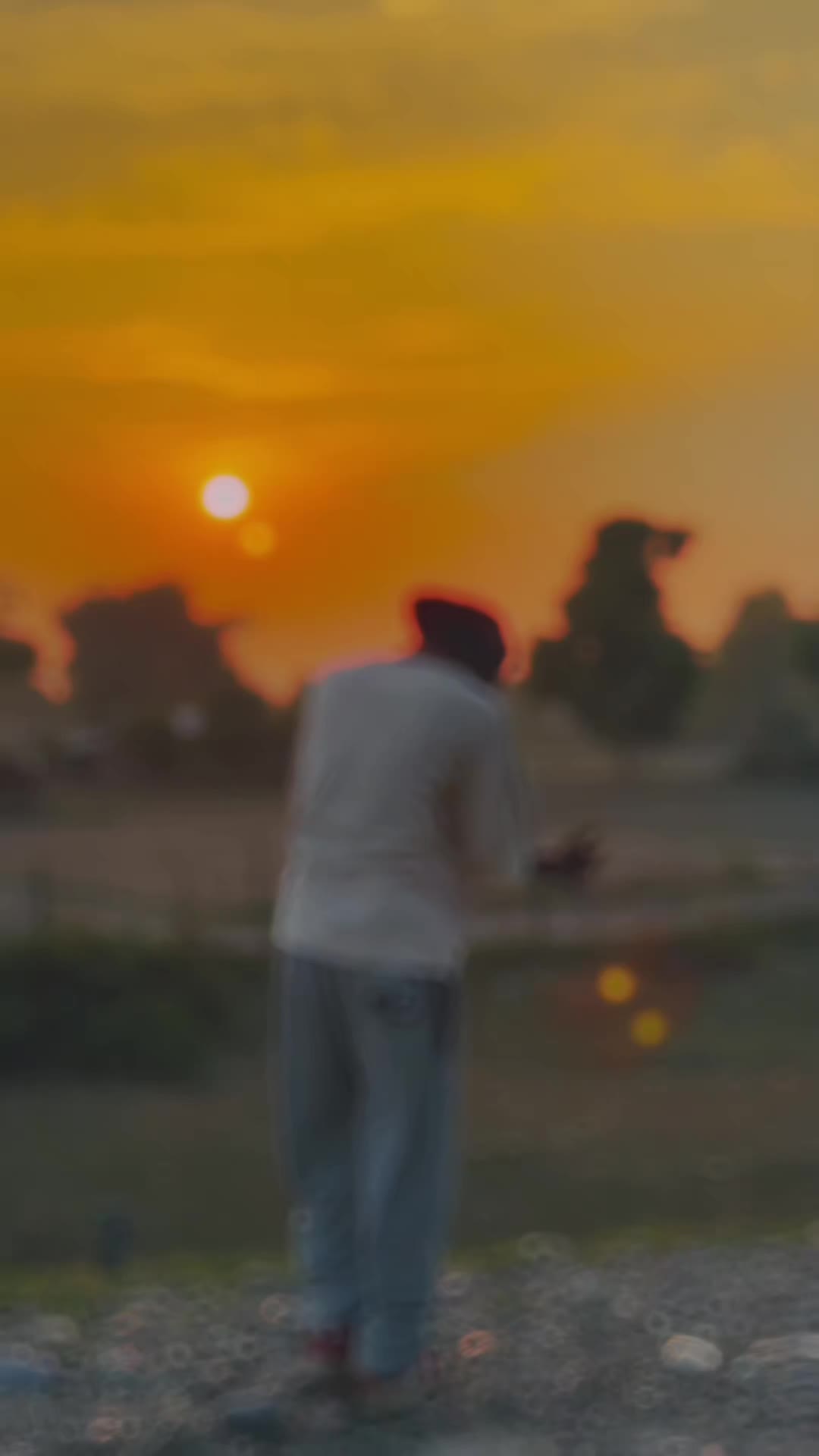 @🐉