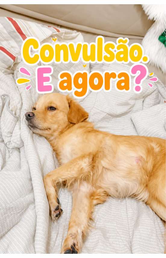 @Docinho, a golden especial.