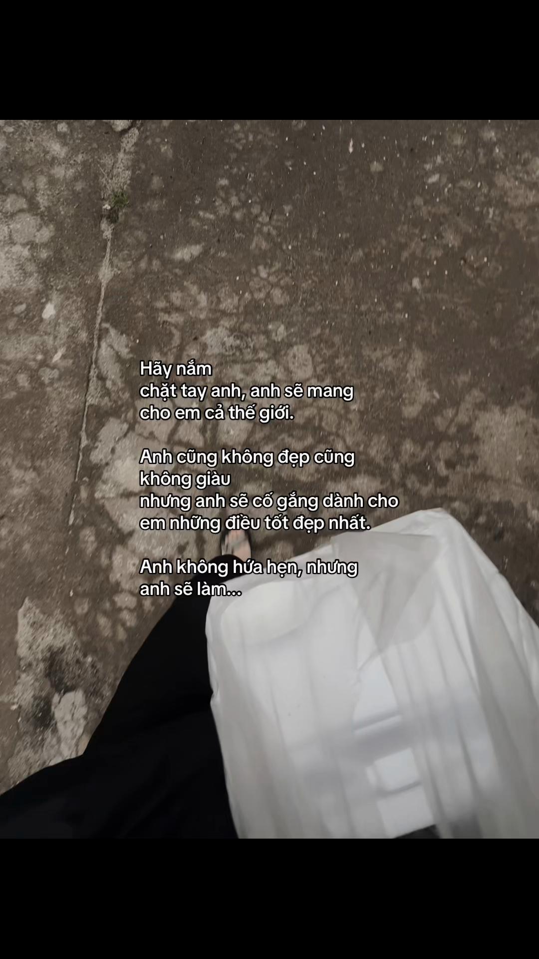 @๐๐ข๐ฏ๐จ๐๐ฉ๐ฐ๐ข
