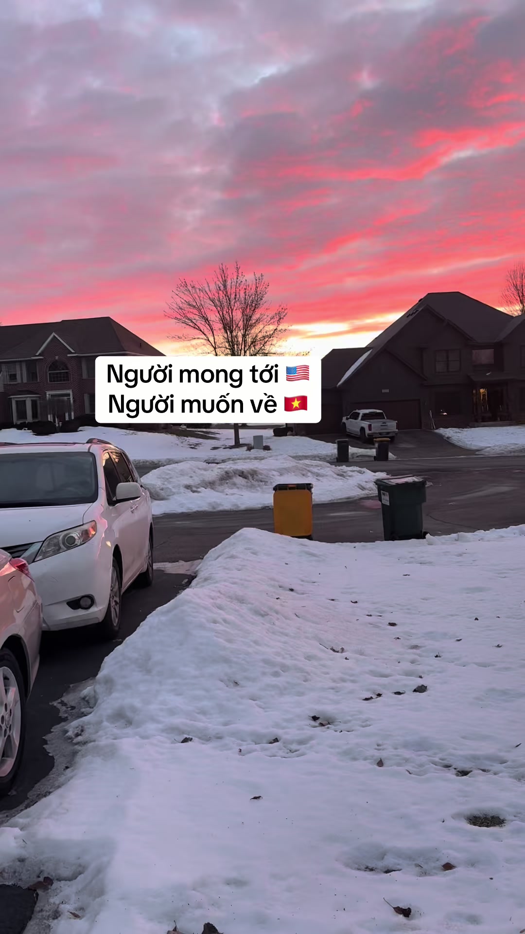 @Thuý Sống Ở Mỹ 🇺🇸