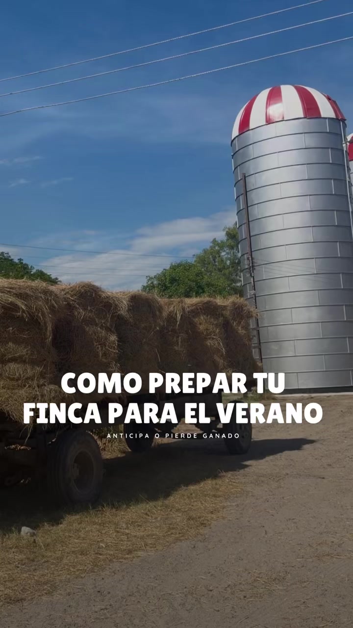 @Rehagronegocios