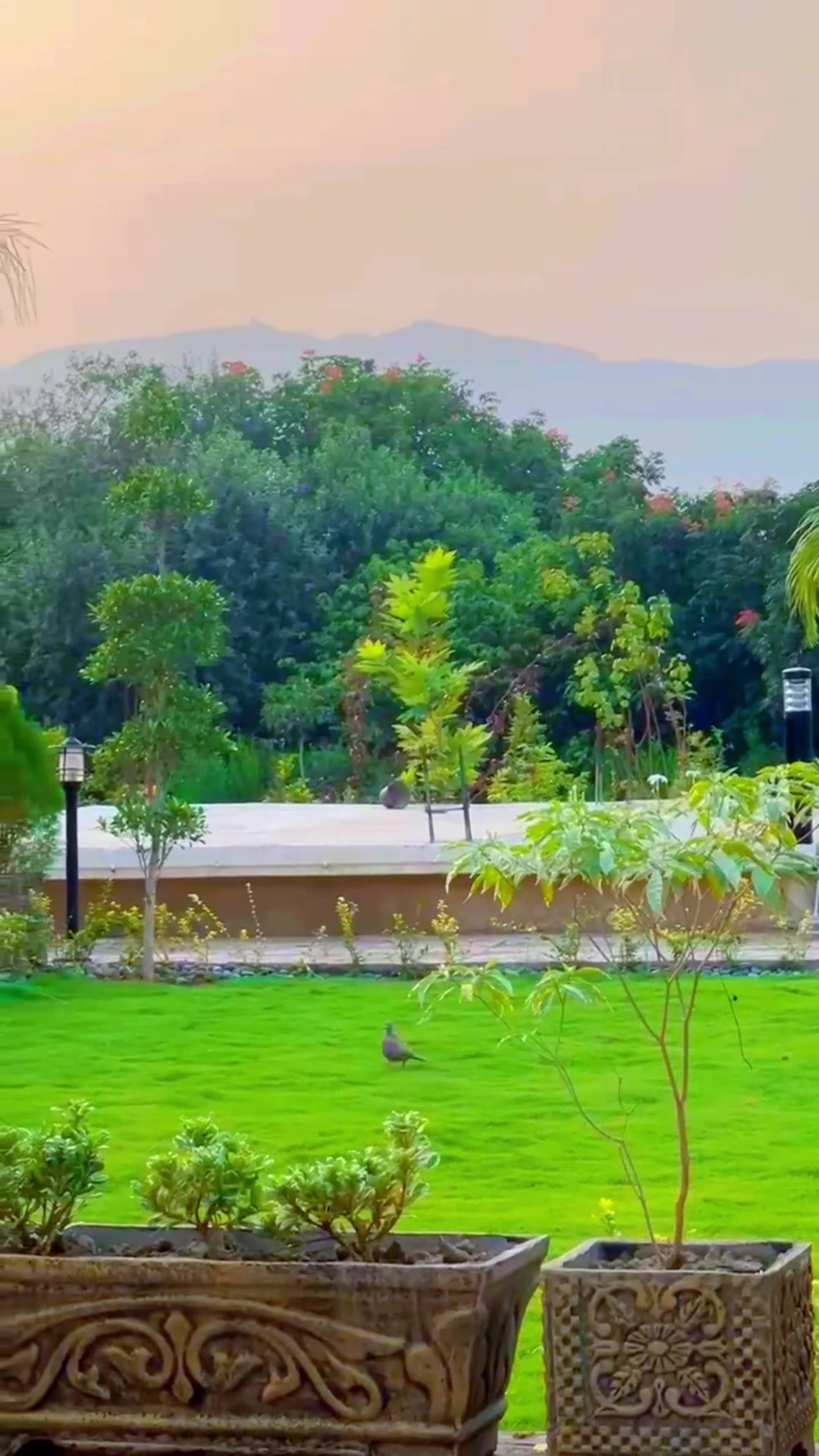@SyedFamHouse