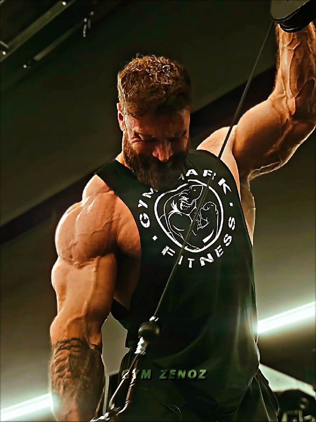 @Gym Zenoz