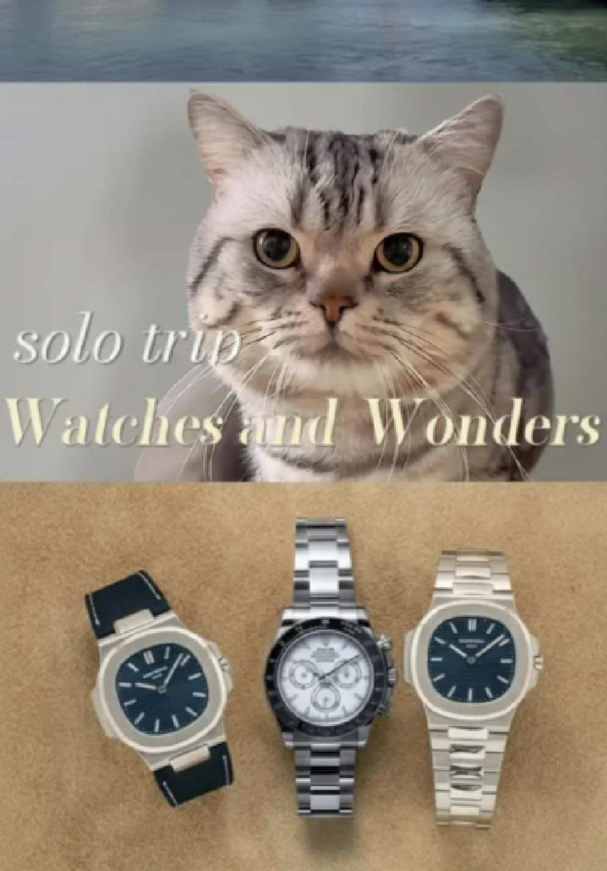 @watchbiao
