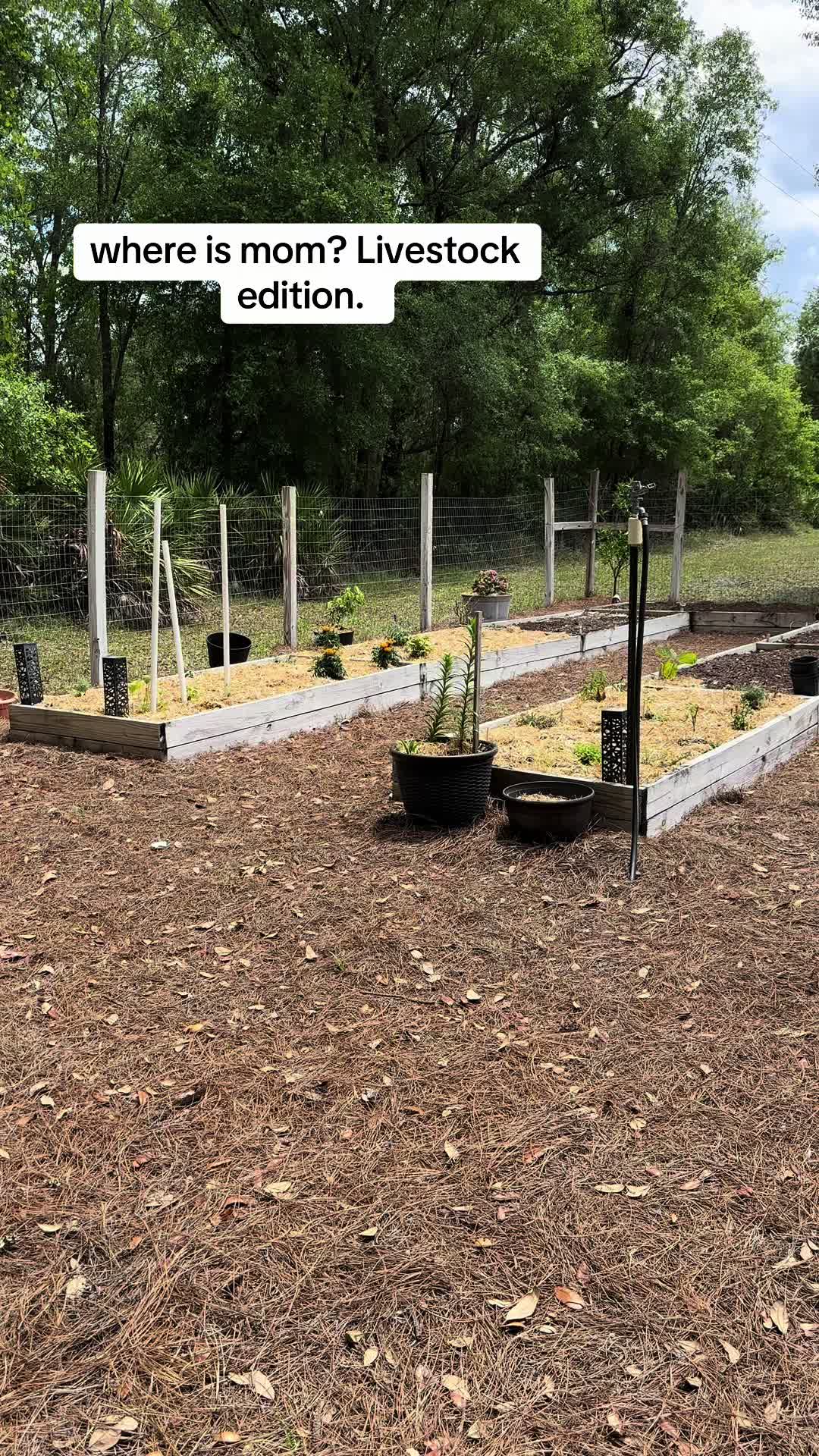 @CrenshawFarms