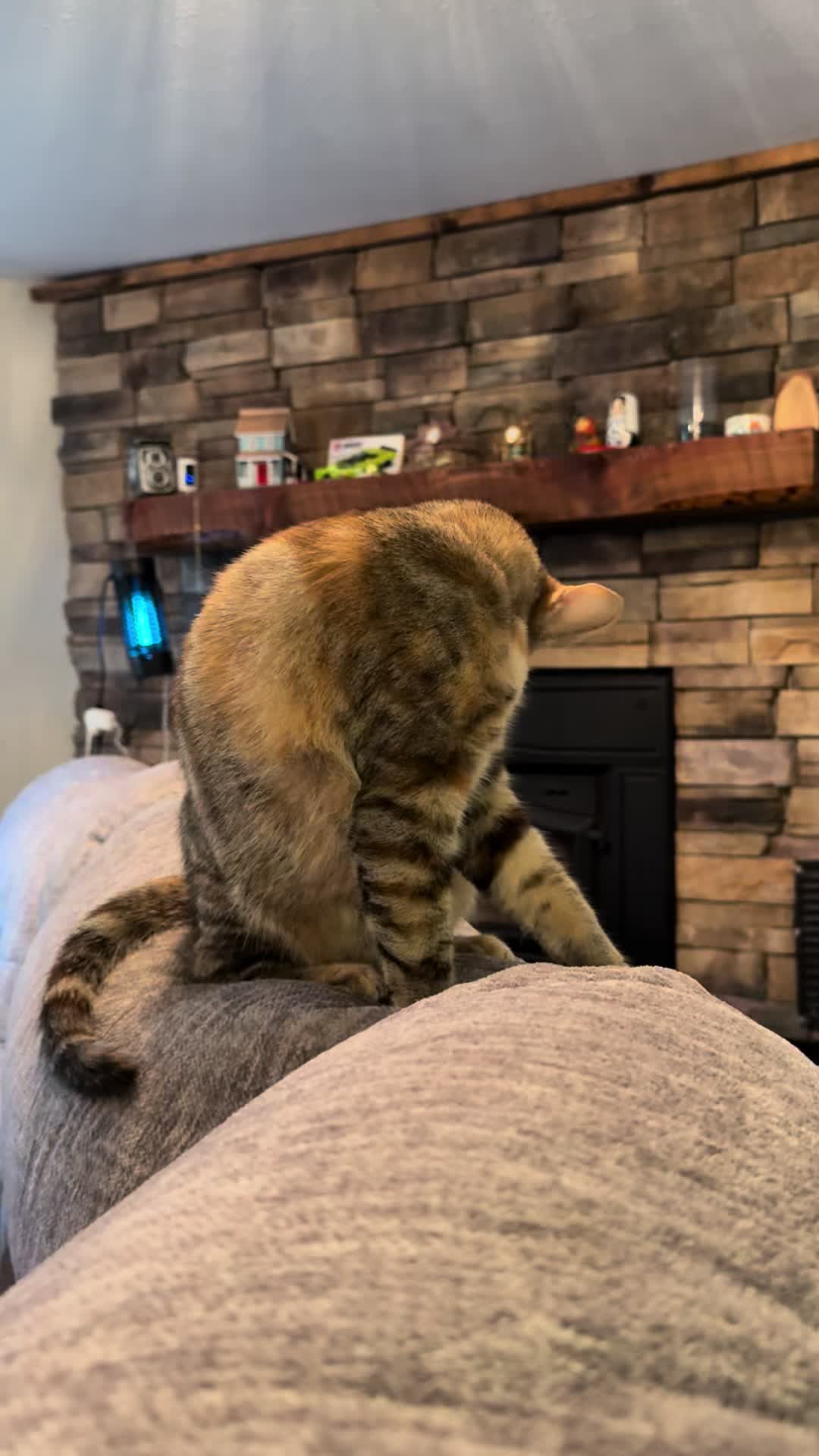 @KrazyKatz