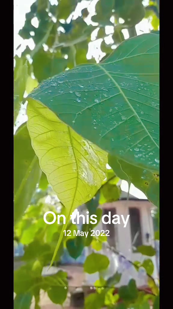 @🌼🍃rangika_dil🍃🌼🇦🇪~🇱🇰~