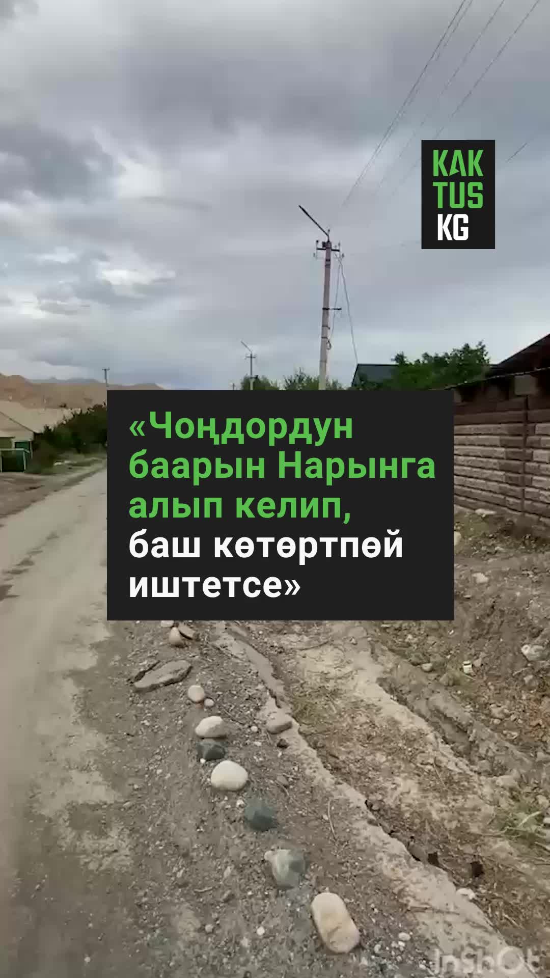 @Kaktus KG