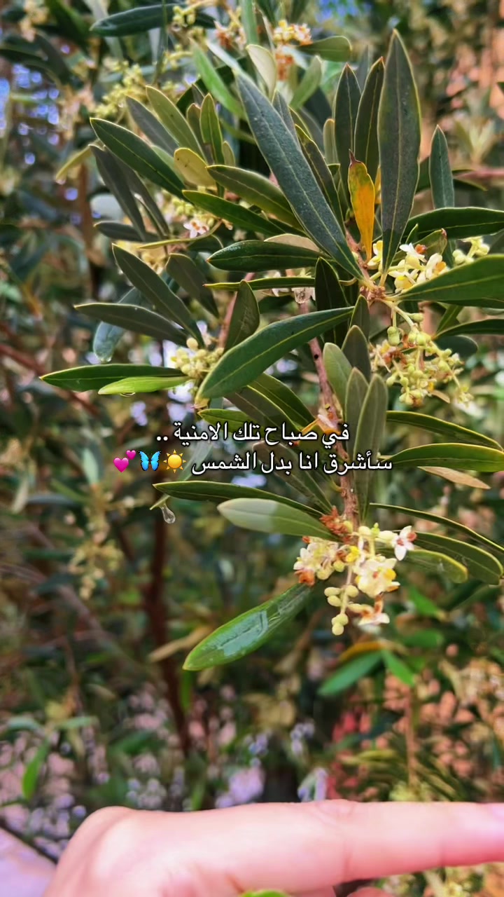 @𝔏𝔢y𝔩𝔞 📽️🫀🇲🇦