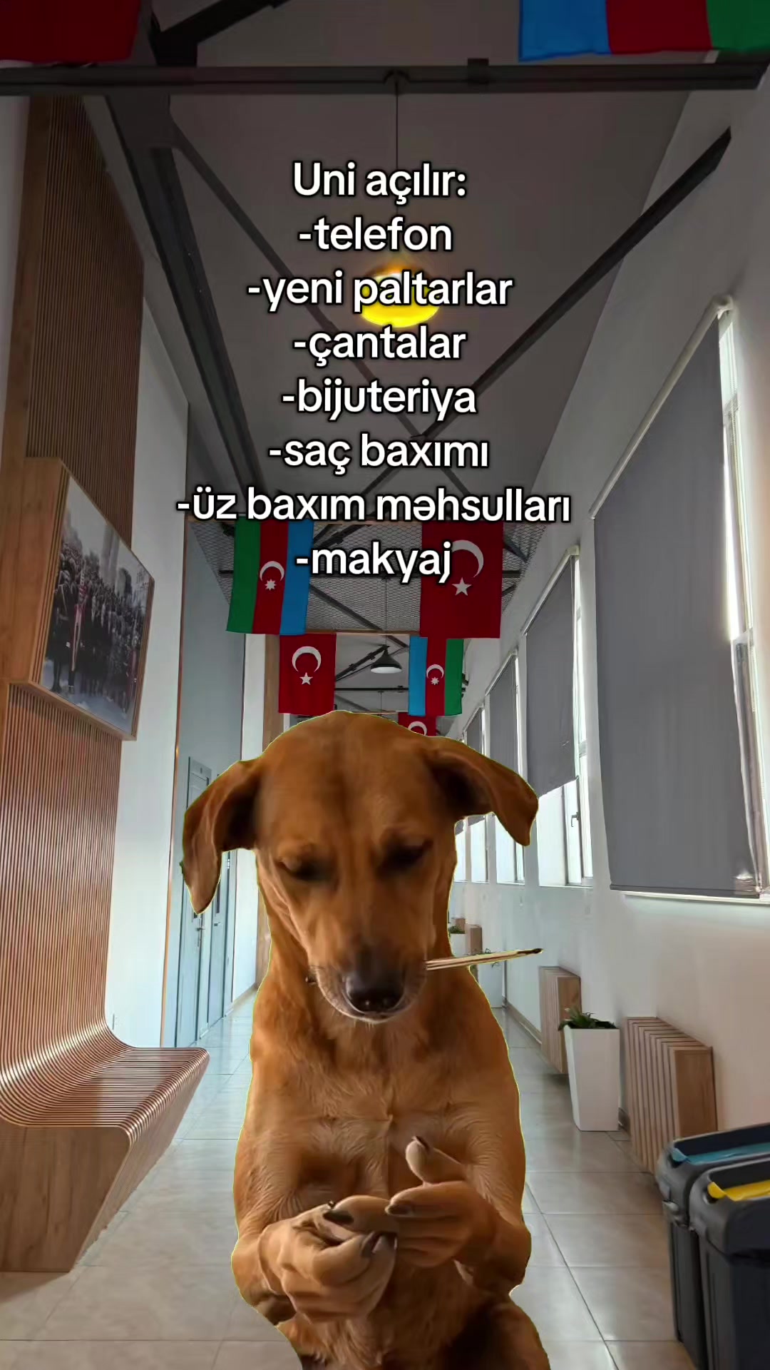 @โ๐๐๐โ