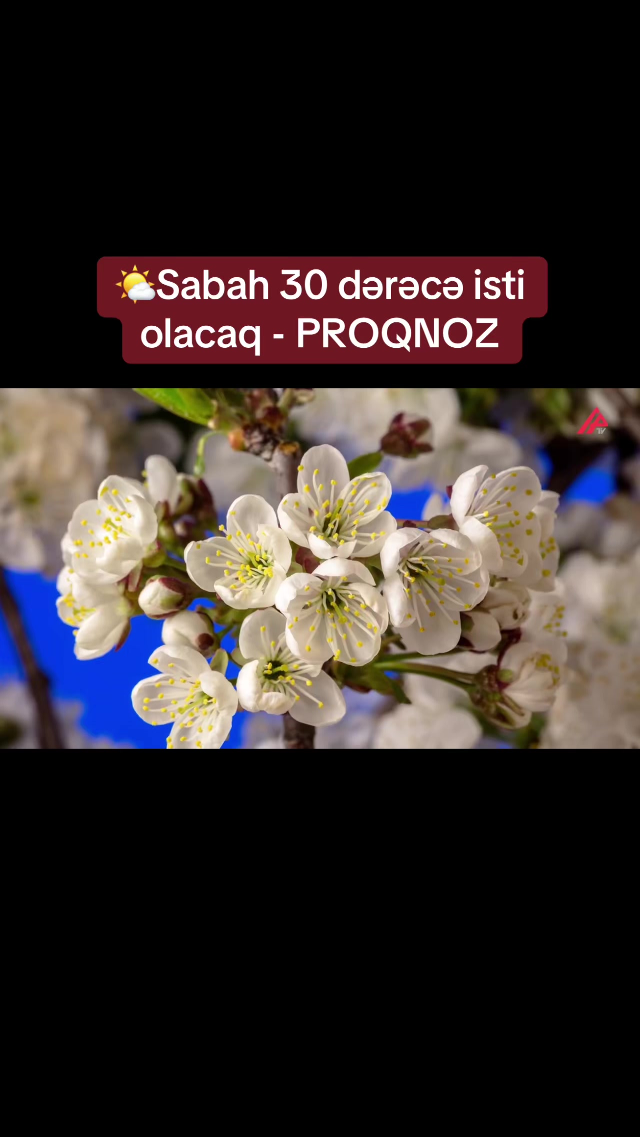 @apatvxeber