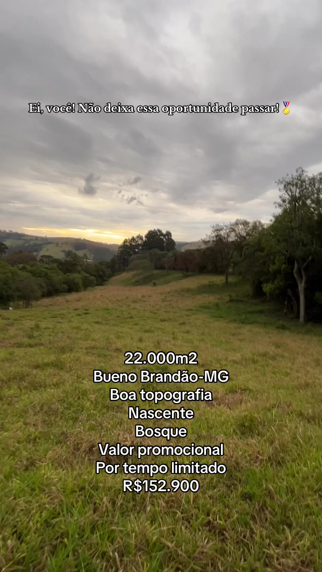 @fernando souza