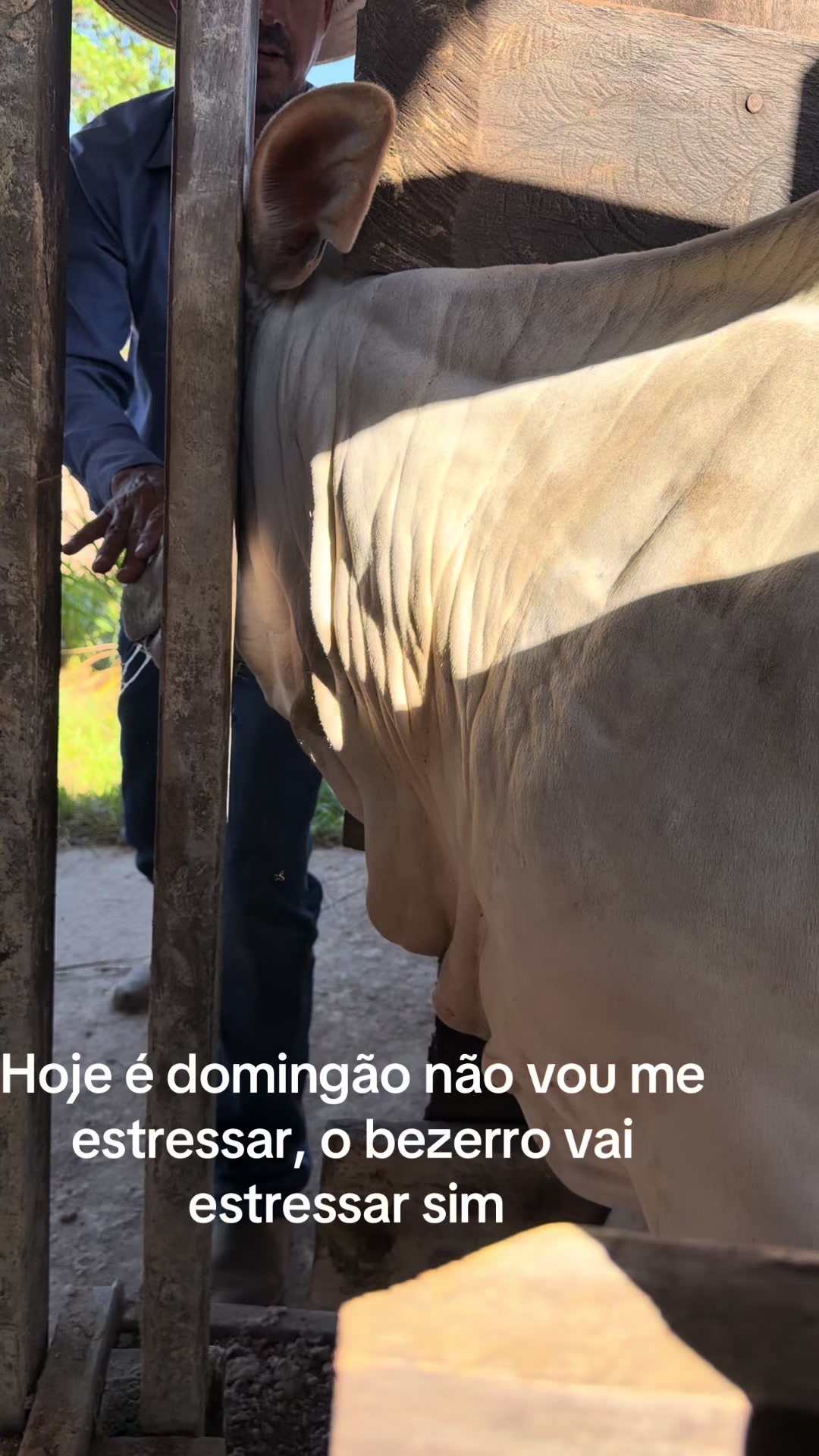 @Roseleide Vieira Lim