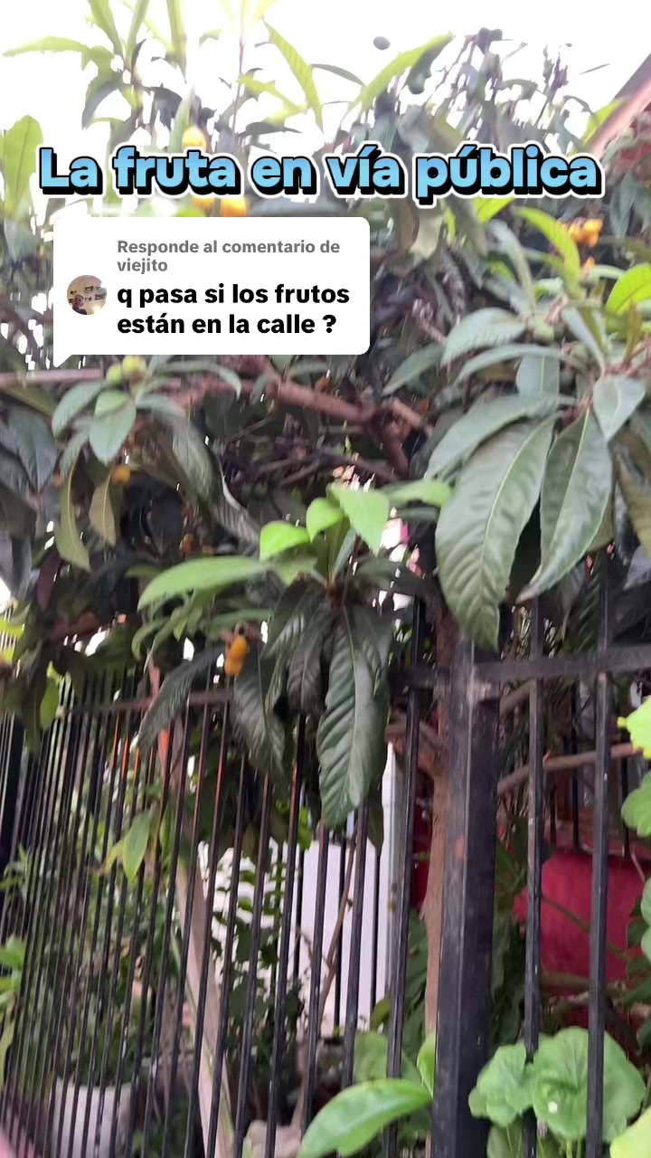 @Cris Habert
