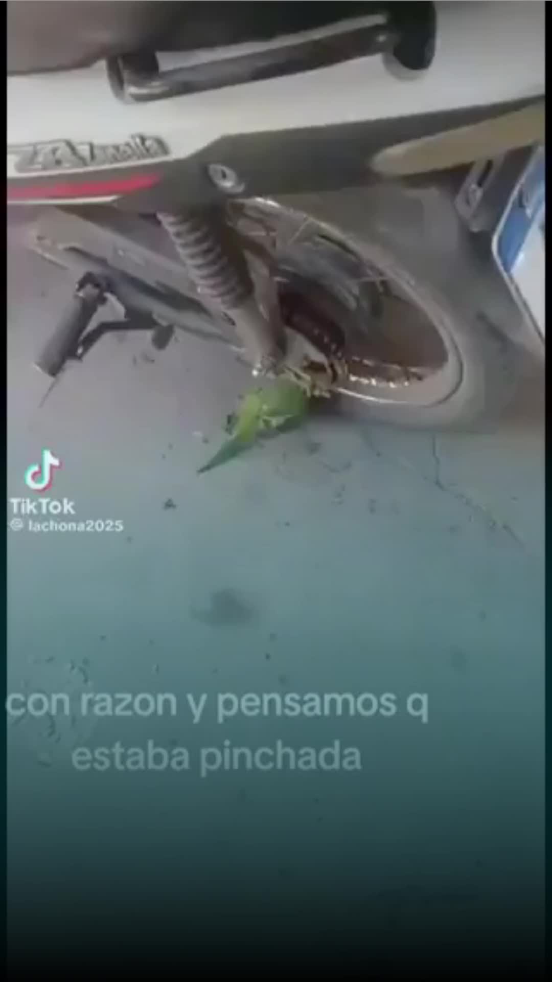@Entre l&iacute;neas
