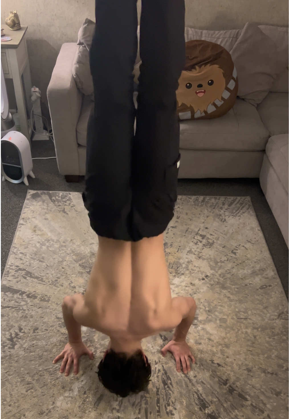 @Calvisthenics