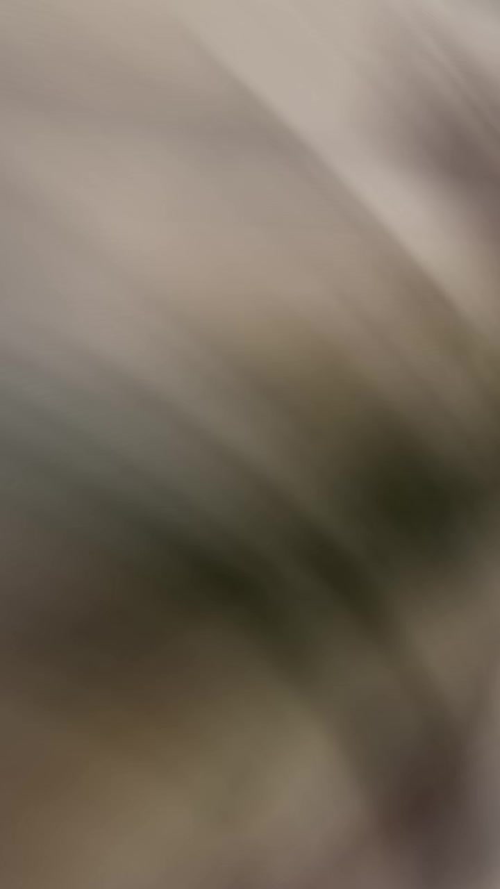 @Bagga &Acirc;k47