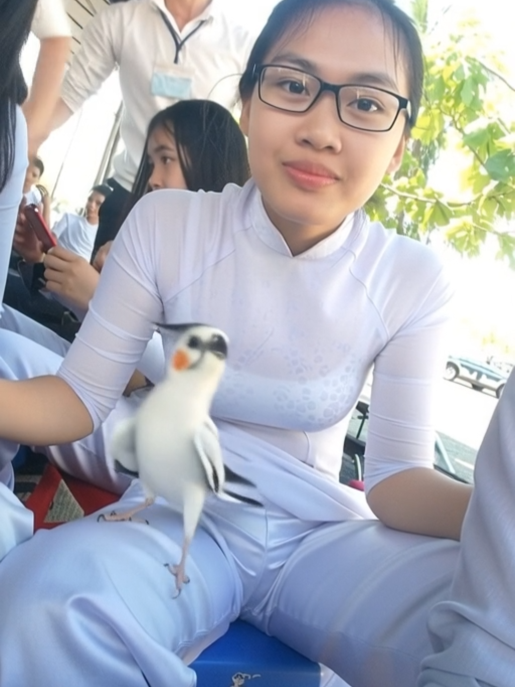@Tim Te Tai