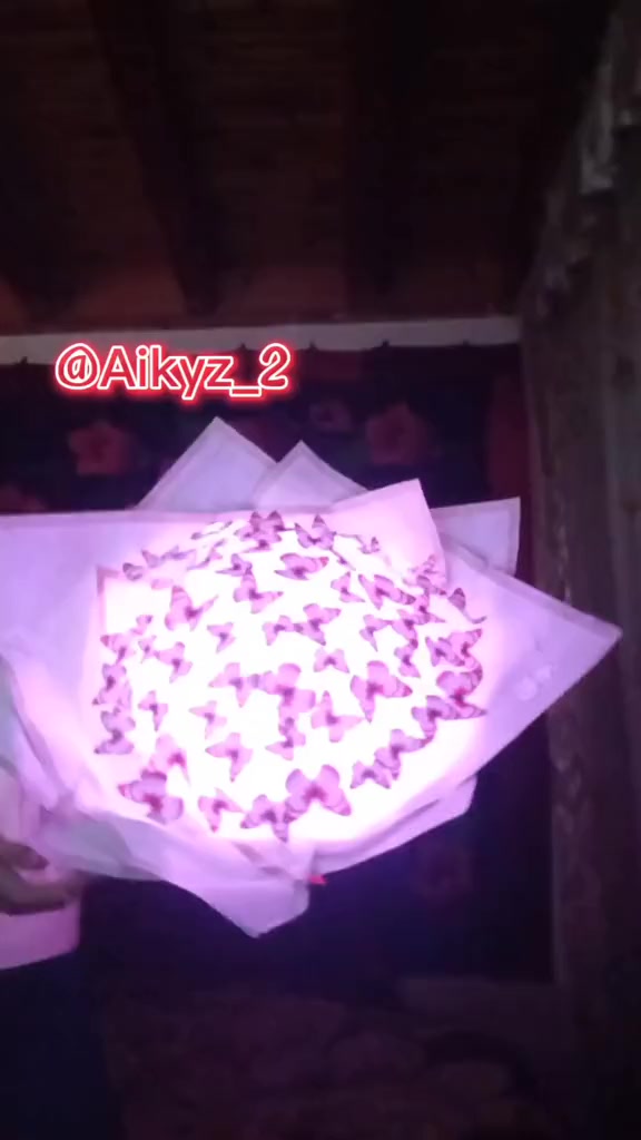 @aikyz_2