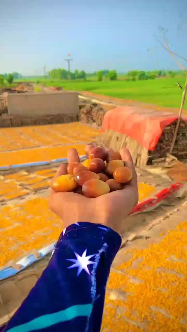 @FARMAN KANHAR 💙💫☑️