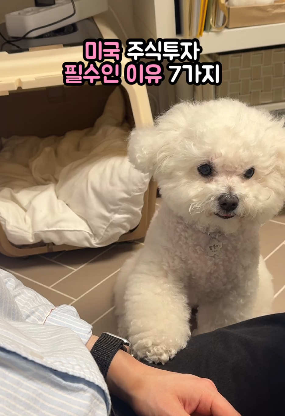 @자유 레코드