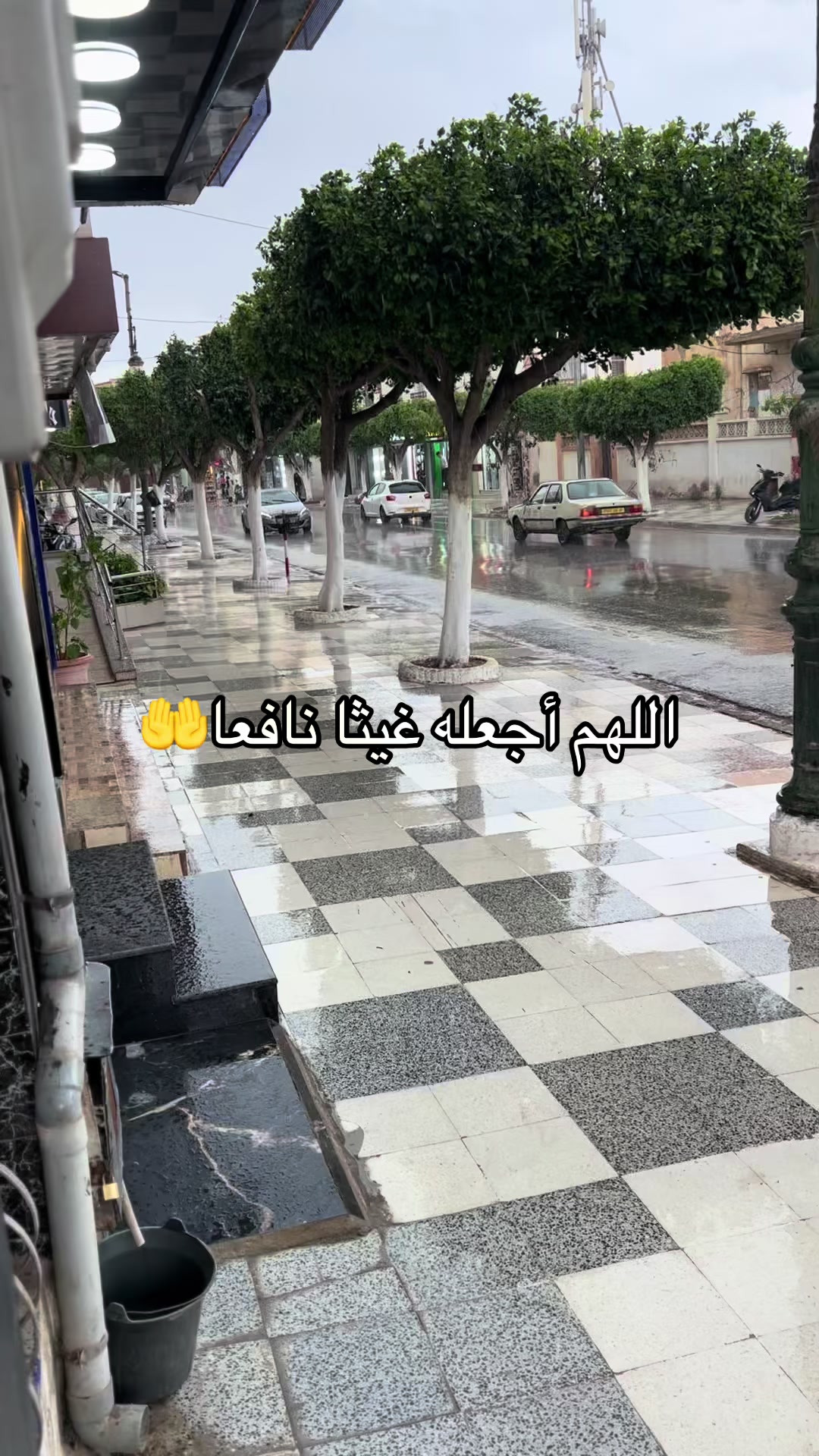 @⚜️Habib ⚜️