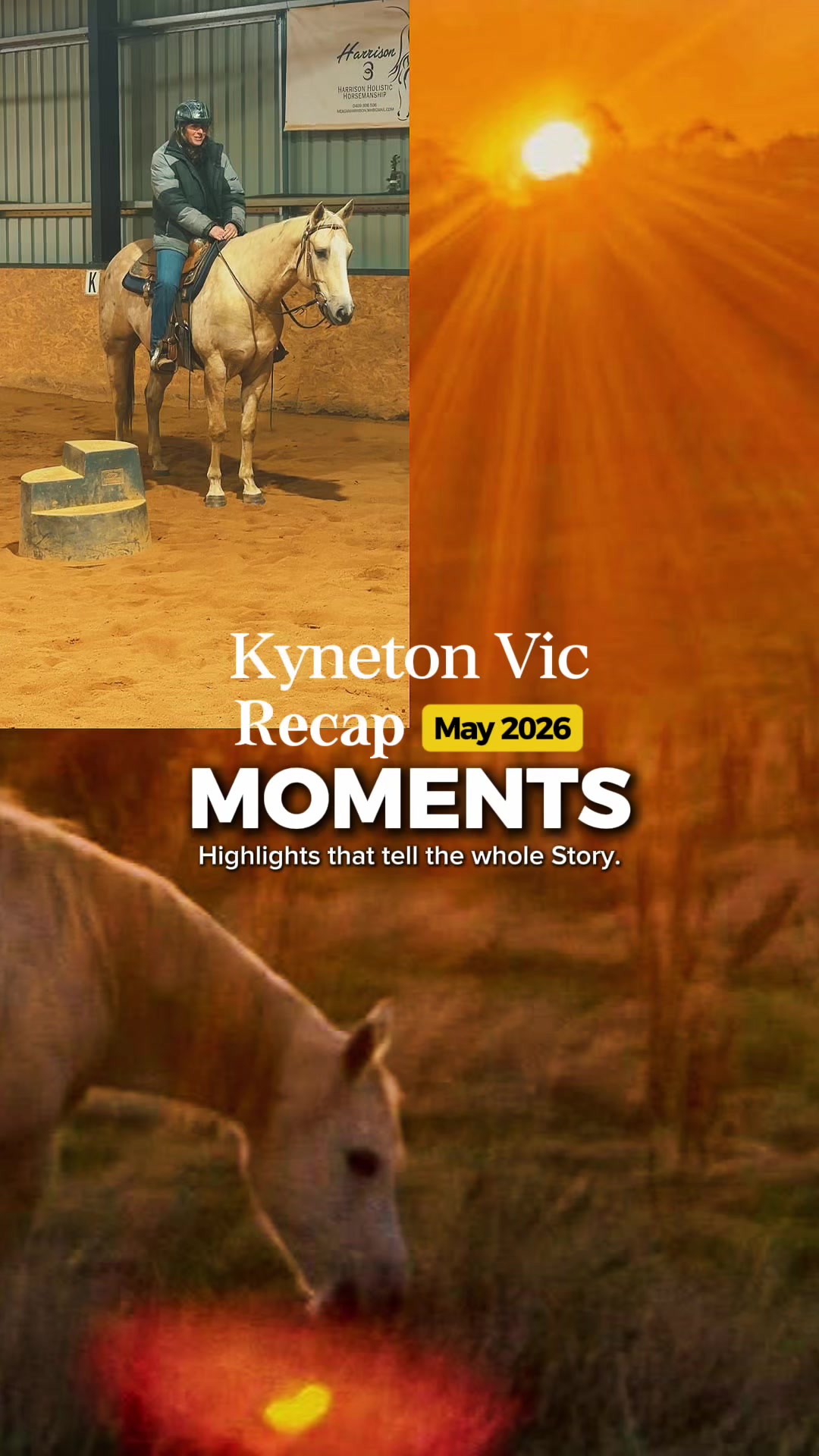 @KimDaleyhorsemanship