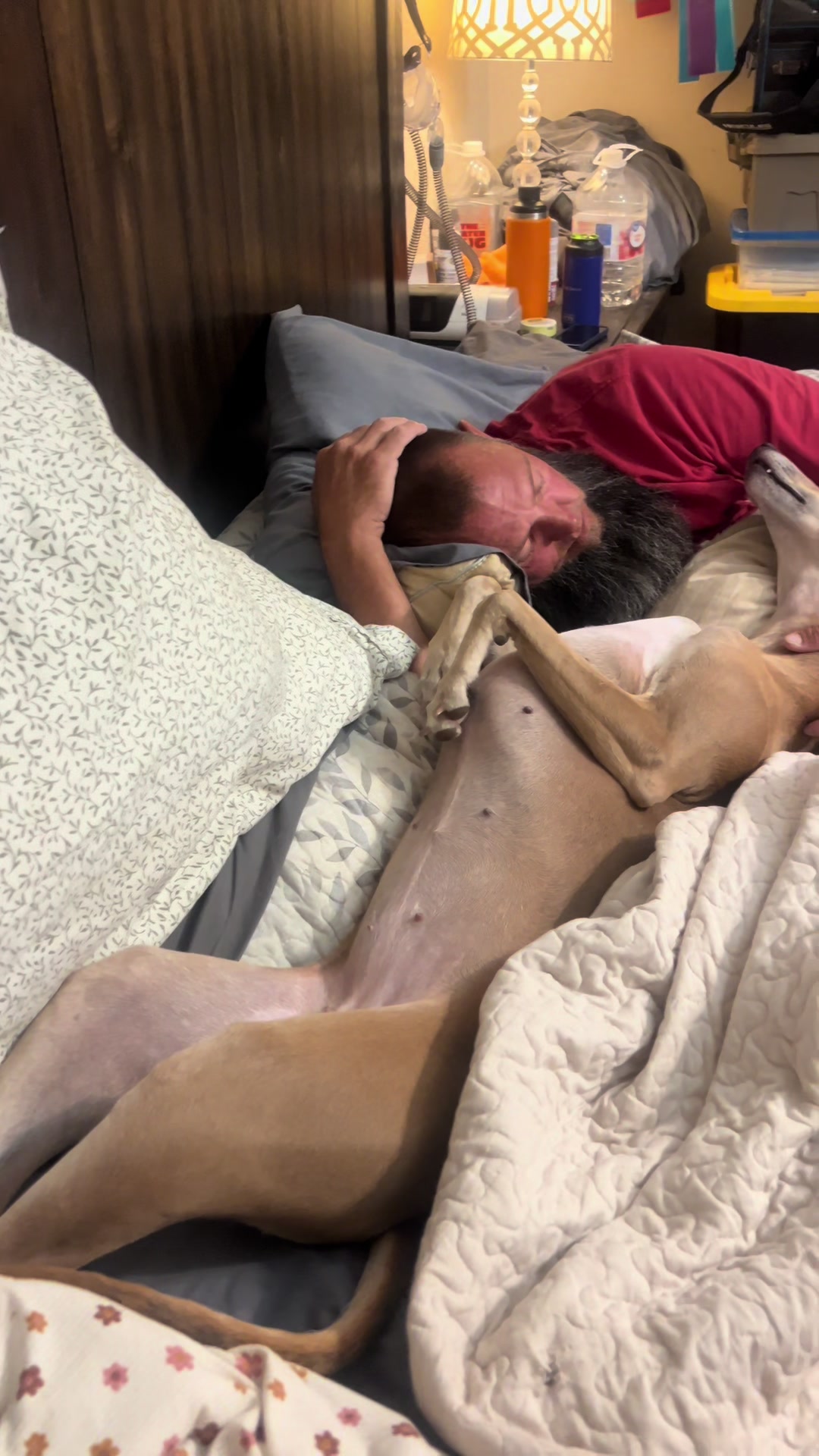 @alice_the_gsp