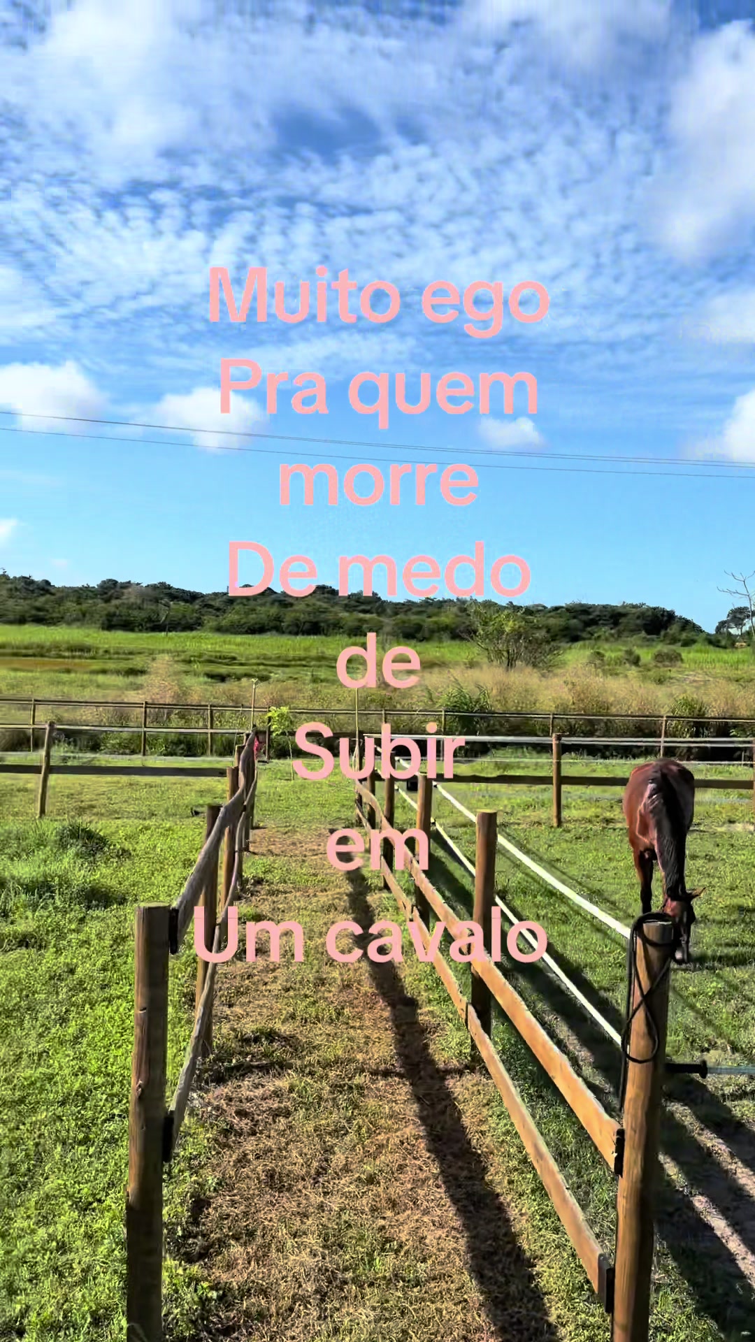 @Eq_Lê