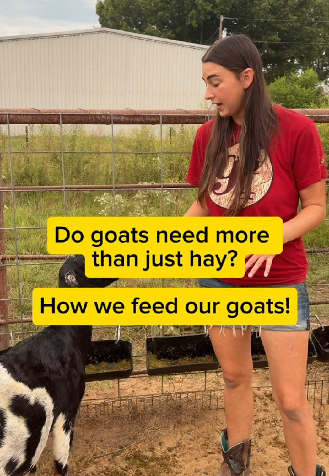 @Heart & Hoof Homestead