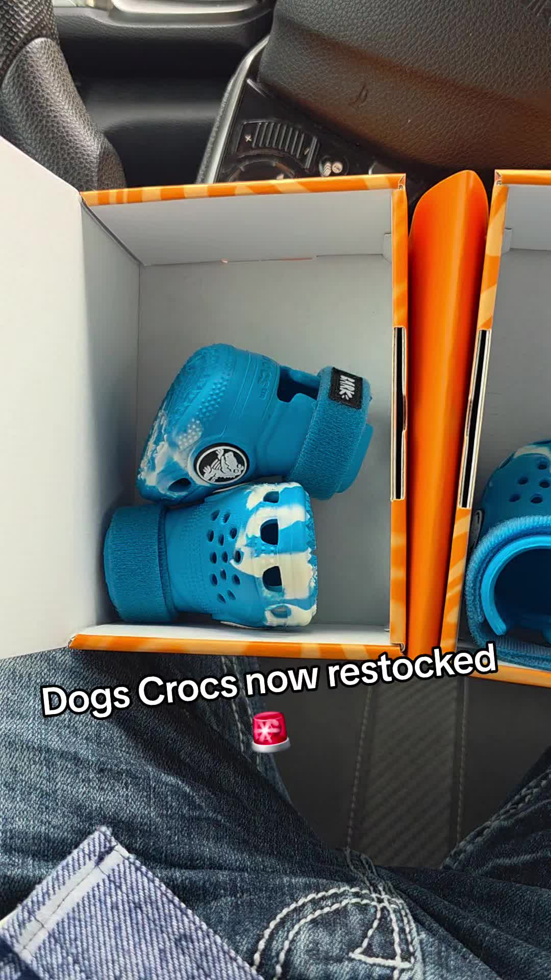 @NinjaRacoony