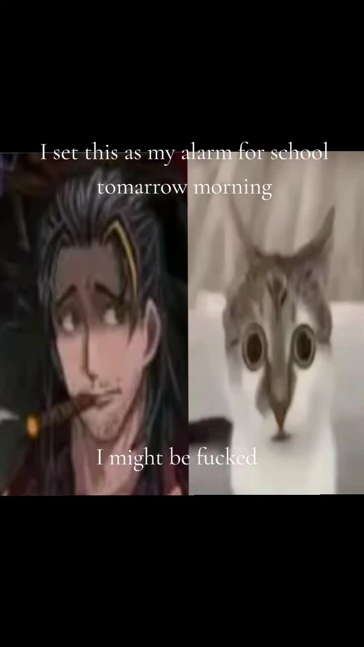 @SilverSprite ๐๐