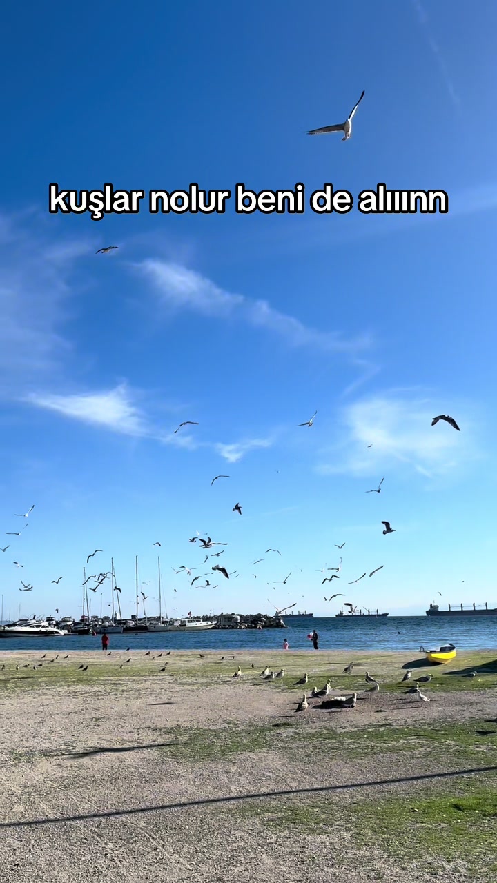 @semalovv
