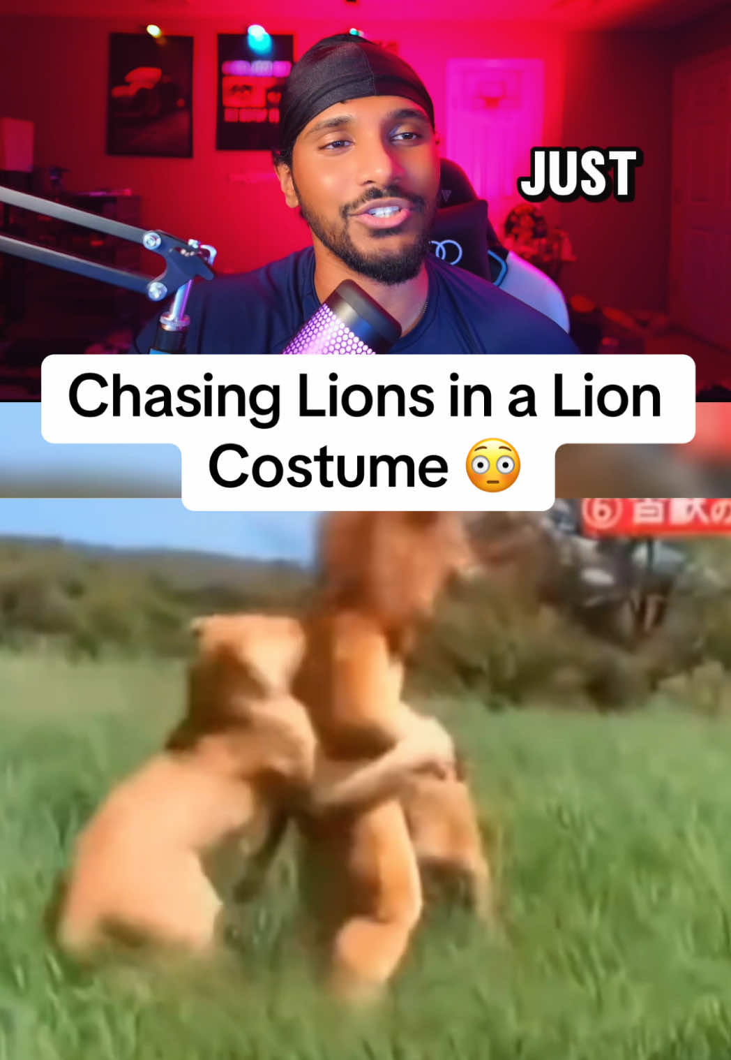 @Tiger