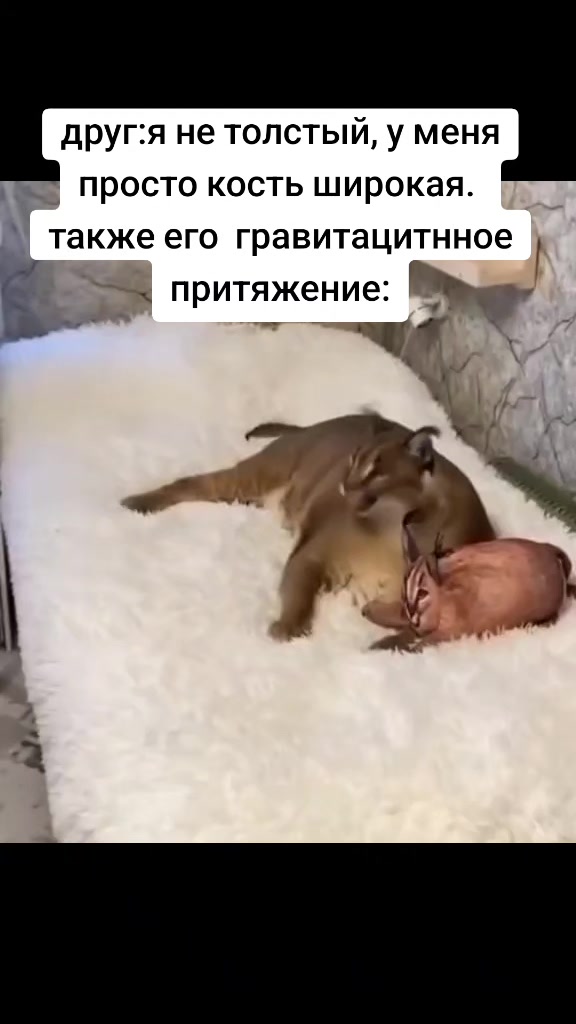 @VLD113☑️