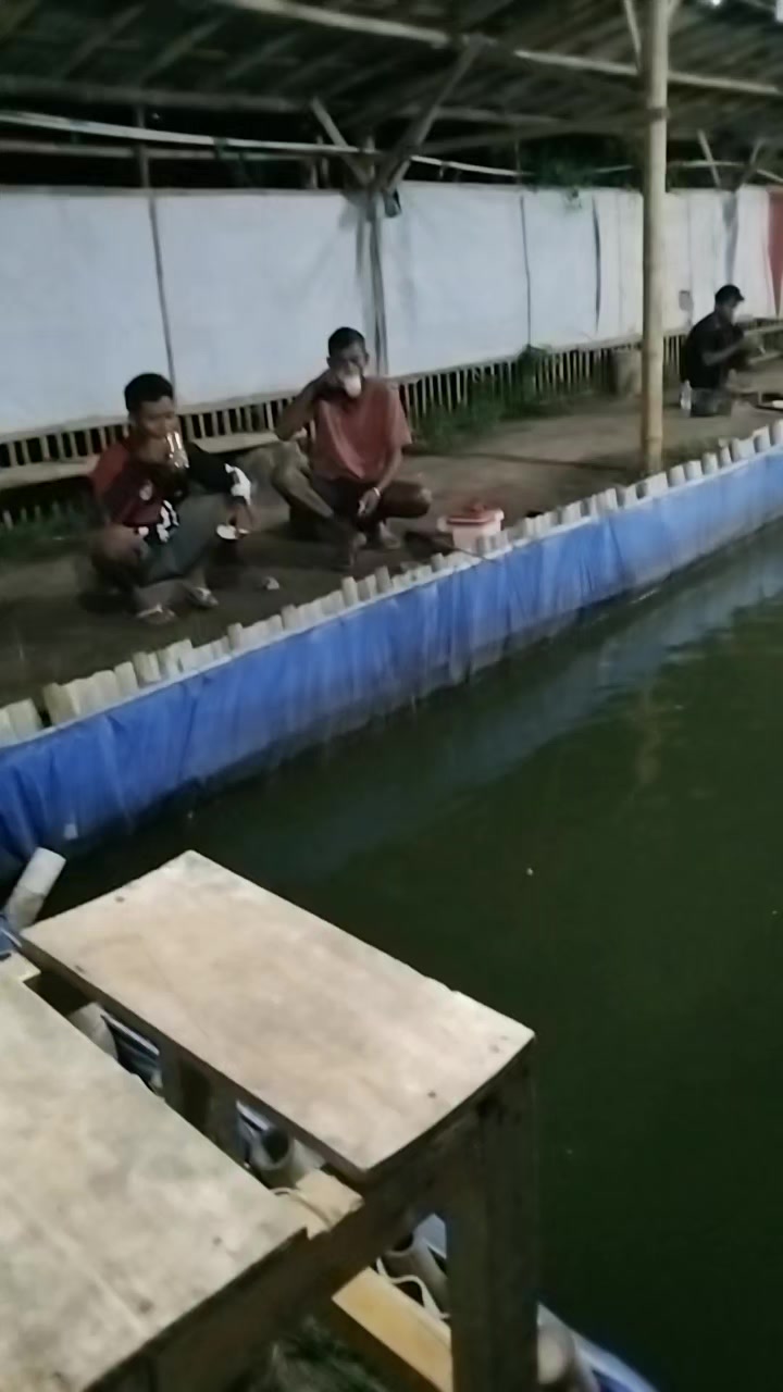 @thochip_09