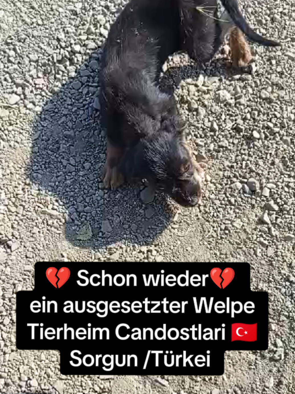@TSV Candostlari-Beste Freunde