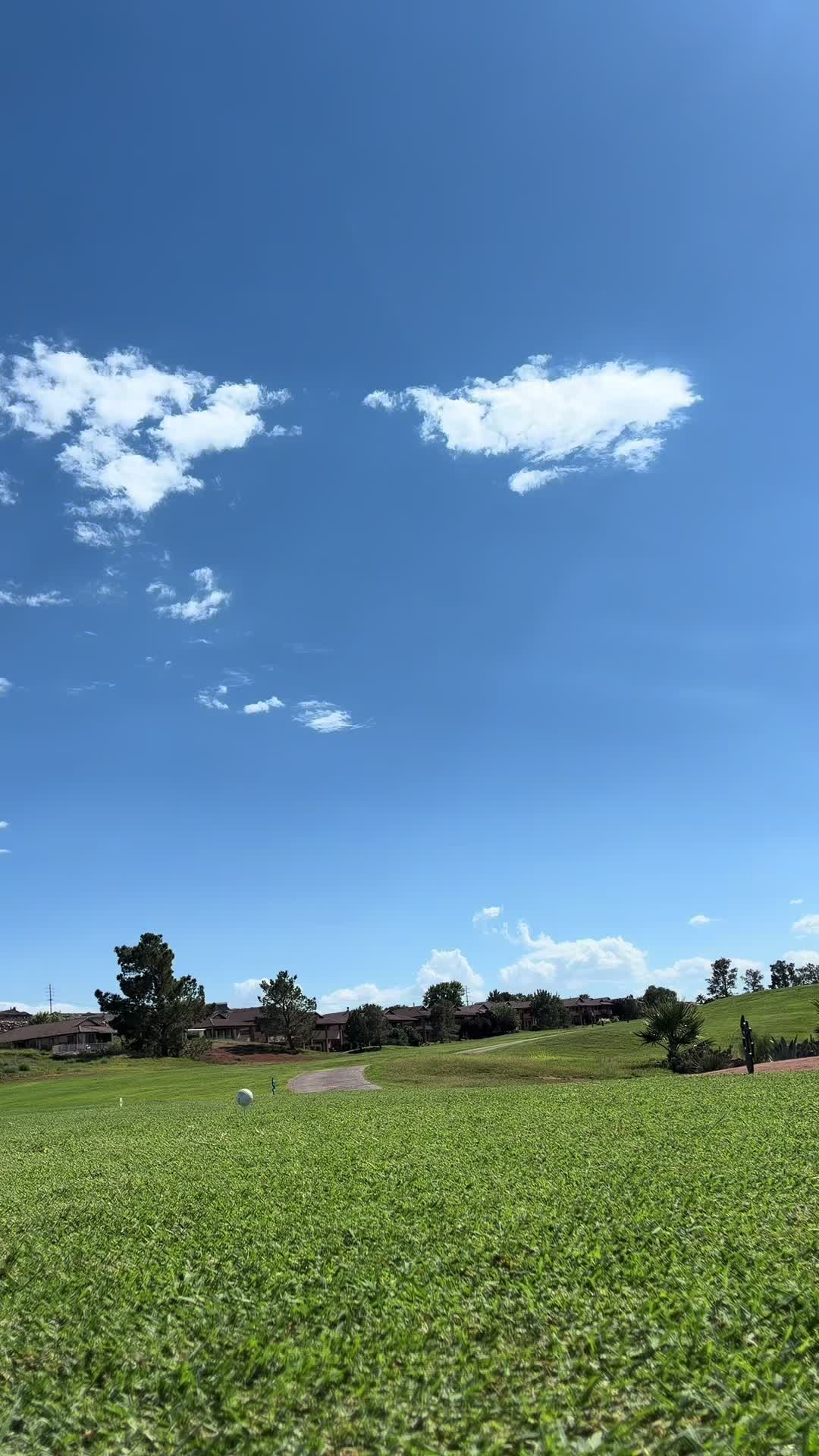 @Yolo