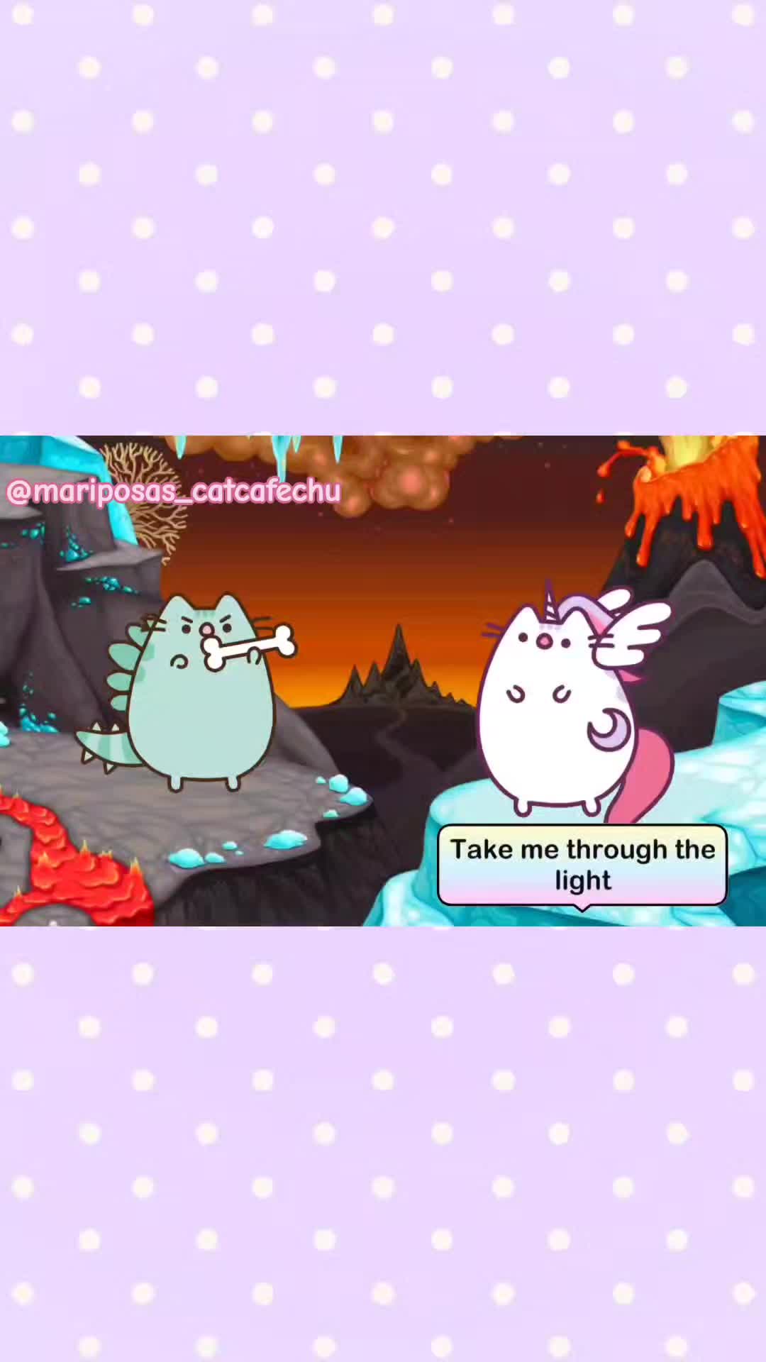 @˚ʚ🍰ɞ₊ ~!MeowMi!~ ₊˚ʚ🍰ɞ