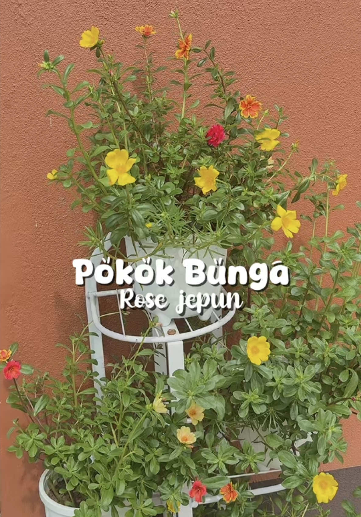 @๐ฎ๐ฝ๐ถ๐ถ โฟ ๐ | racun tiktok โจ