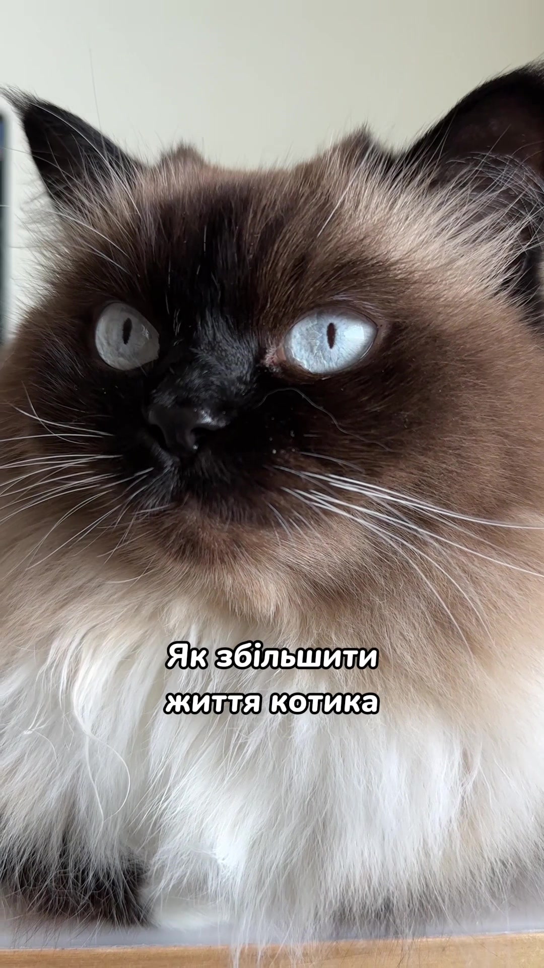 @Місс КІСЯ