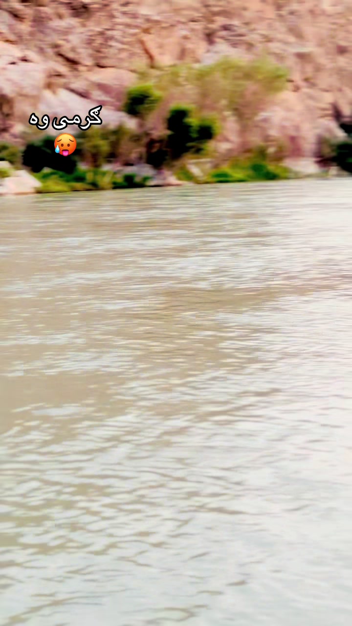 @𓆩. ᑎOOᖇI.𓆪