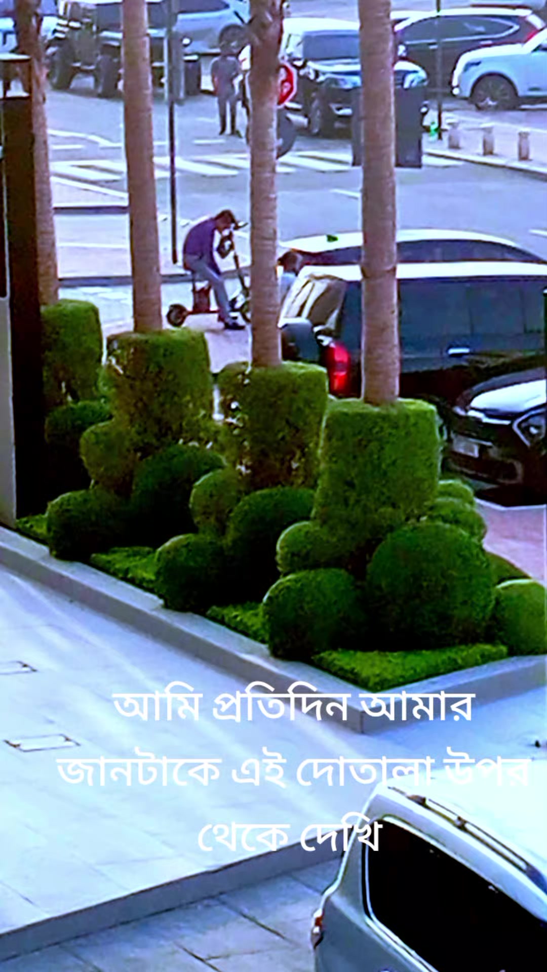 @TANIA ISLAM