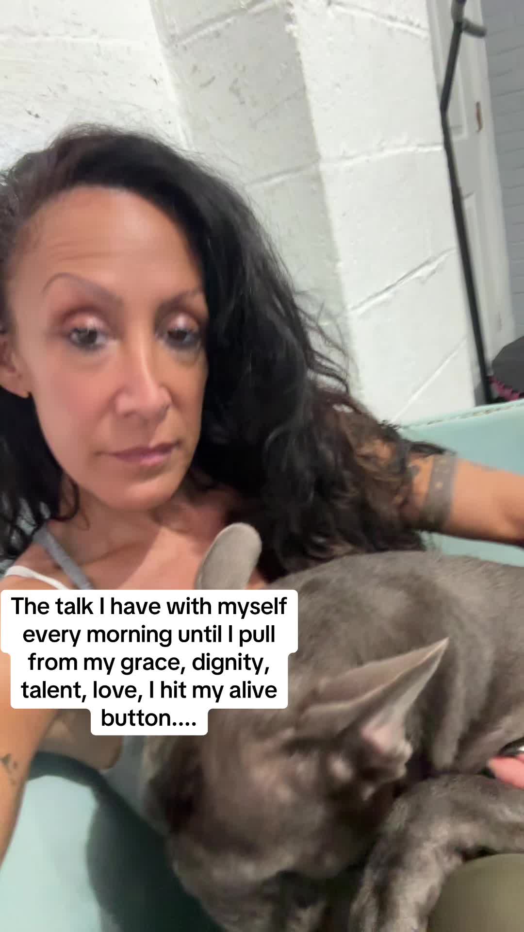 @dogmom76